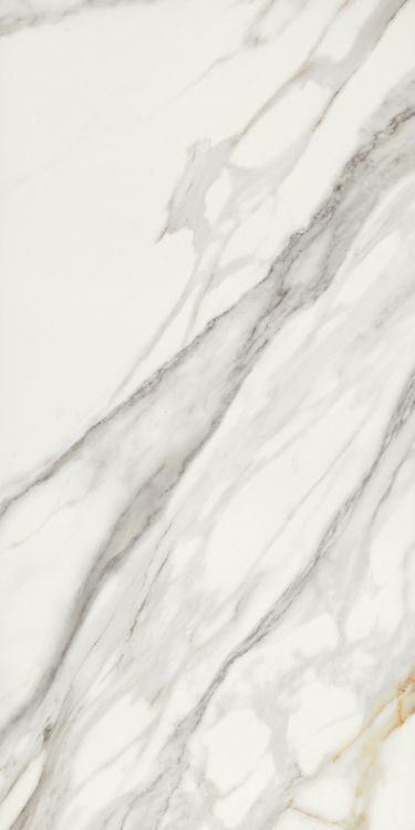 Marmi Macchiavecchia Levigato 24 x 48
